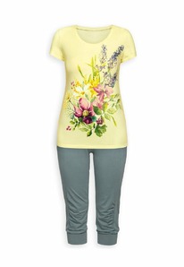 09.04  Pelican ������ ������� PTB683 Lemon