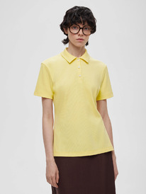 ������� ���� �� ���������, ������