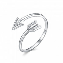 ������ � �������� ������������ ������� 925*