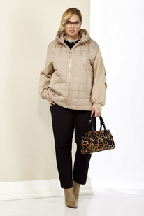 ������ SHETTI 2184 �������