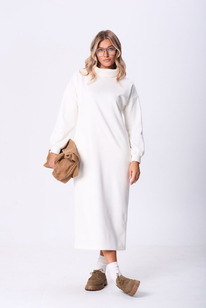 ������ Amuart 1070