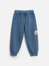 ����� ������� ��� ��������� Kassina_pt