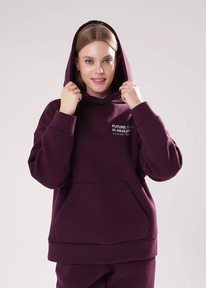 27.03  Clever ���� ������� CLE LH15-106 �.��������