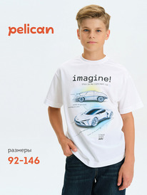 Pelican �������� ��� ��������� BFT3377/5 �����