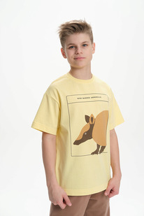 Pelican �������� ��� ��������� BFT3370/2 ������