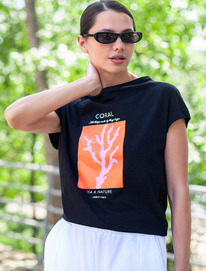 27.03  Vilatte �������� �� ���������� ������������ ������� � ������� ������� D49