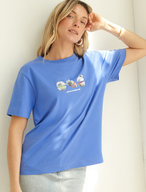 27.03  Vilatte �������� �� ������������ ������ � ������� ������� D49.098 �������