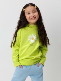 24.03 Crockid ������� ��� ��� �� 302329/������