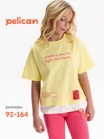 Pelican �������� ��� ������� GFT3388/4 ���������