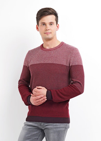 22.03  Clever ������� ������� CLE 492616�� ��������