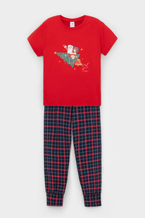 24.03 Crockid ������ �/��� �� � 1554/���������-�������,������