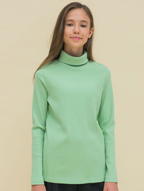 12.04  Pelican ������� ��� ������� GFJS3335 ���������