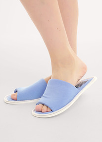 06.04  Clever ��������� ���. �����. Ѹ�� CLE SW25-1169O �������