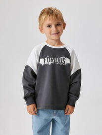 08.04 Acoola ������� ������� ��� ��������� Richards 20120170197 ��������-�����