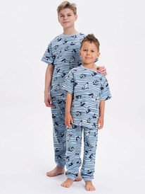 22.04 Pelican ������ ��� ��������� NFATP3371U �������