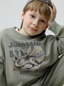 12.04  Crockid ������� (�������) ��� ��� �� 302843/���� 6206 �592