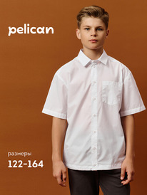 22.04 Pelican ������� ������� ��� ��������� BWCT7121 �����