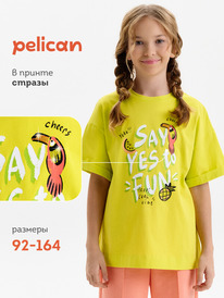 12.04  Pelican �������� ��� ������� GFT3390/2 ��������