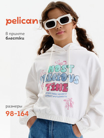 12.04  Pelican ��������� ��� ������� GFNJ3389 ��������