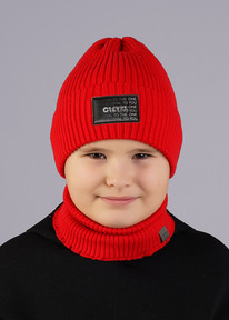 �����  Clever ����� ������� CLE 544045�� �������