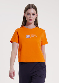 �����  Clever �������� ������� CLE 256065���_� ���������