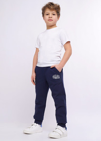 �����  Clever ����� ������� ��� �������� CLE 905821-01� �.�����