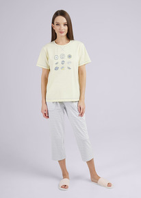 �����  Clever ������ ������� CLE LP24-1102/2 ��.�������/��������