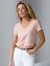 ������� �������� �� ������������ ������ � V �������� �������