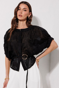 ����� LYUSHe 4382 ������