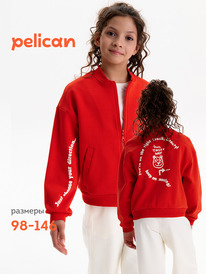 01.06 Pelican ��������� ��� ������� GFX3388U �������