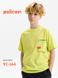 01.06 Pelican �������� ��� ��������� BFT3388/4 ��������