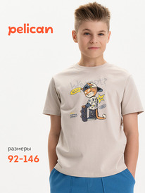 01.06 Pelican �������� ��� ��������� BFT3387/3U ������-�����