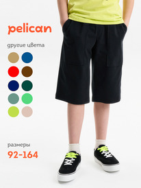 01.06 Pelican ����� ��� �������� BFH3352U ������