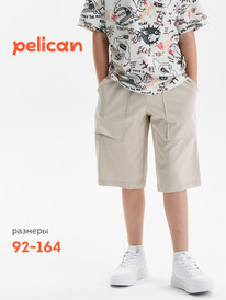 01.06 Pelican ����� ��� �������� BFH3352//2U ������-�����