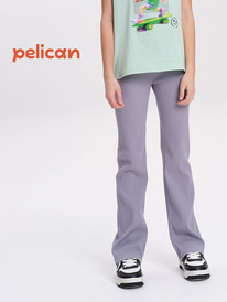 13.07 Pelican ����� ��� ������� GFL3352 �����