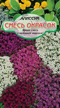 ����� ������� �������