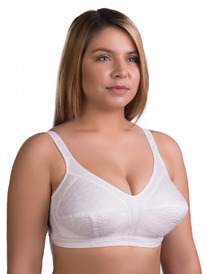 1259 �����������