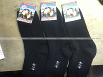 �����-����� ������� ������ ����� �� ���������� ������ � ������� ���. �-001