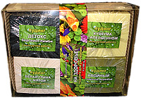 ����� �������� ( ���� ) 