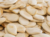 ���� ����� (� ��������)