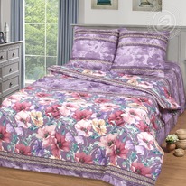 ������ ��� ���� �������