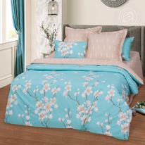 ������� ��� ����� Premium