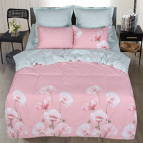 ����� ������ ��� ����� Premium